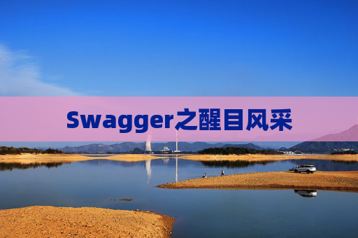 Swagger之醒目风采